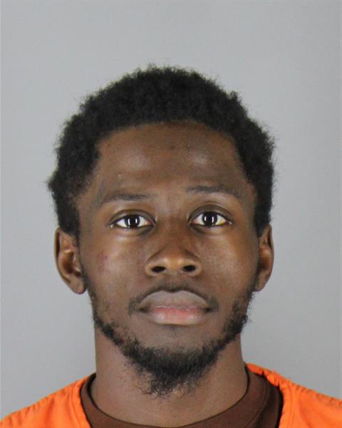 Ne Ross booking photo