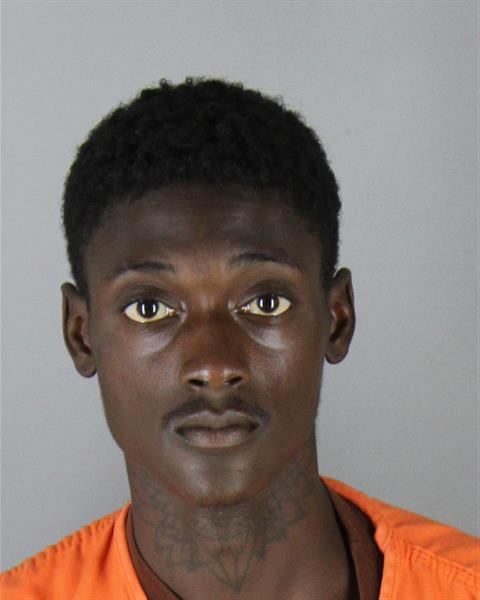Ricky Hall booking photo