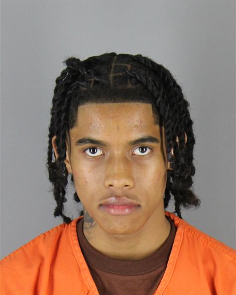 Dakaree Johnson booking photo