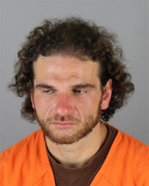 Matthew Ansaripour booking photo