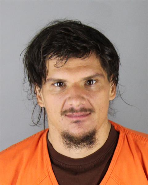 Vincent Salinas booking photo