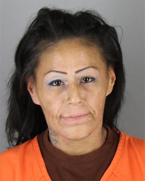 Sara Williams booking photo