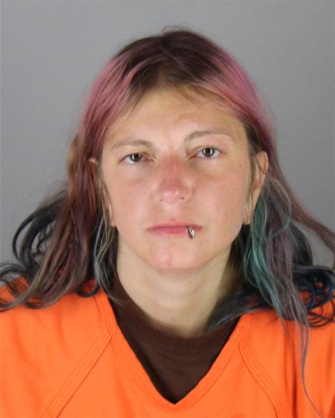 Abigail Mason-wells booking photo