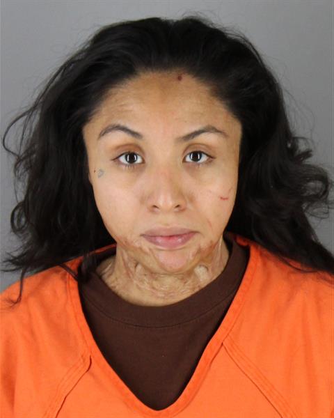 Pamela Garcia-cruz booking photo