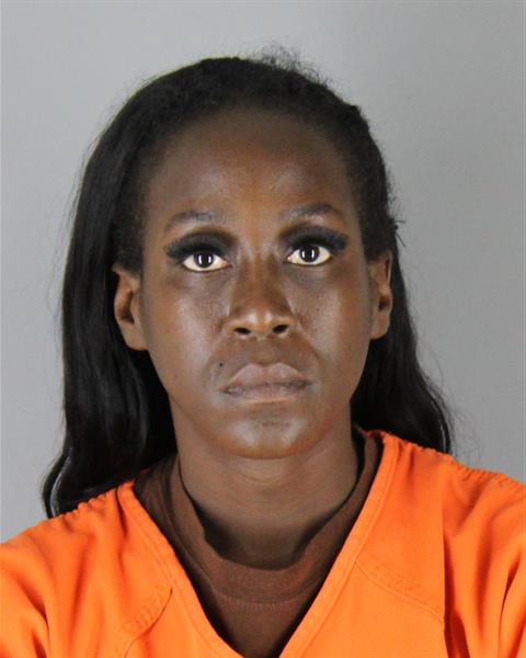 Annie Davis booking photo