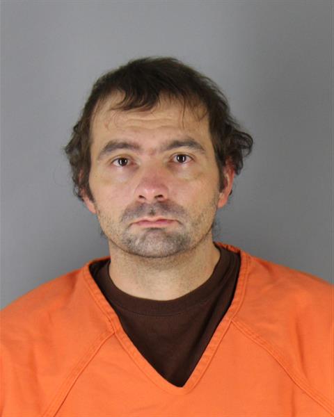 Steven Wallin booking photo