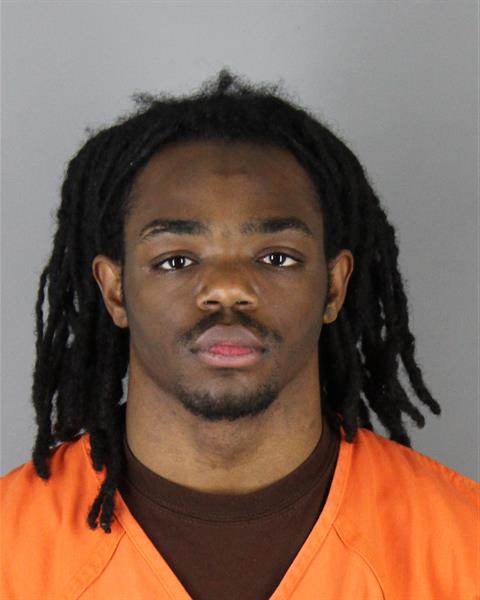 Lavoris Robinson booking photo