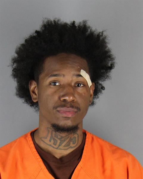 Brandon Domino booking photo