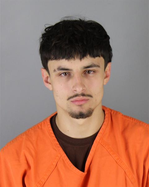 Adrian Dysart booking photo