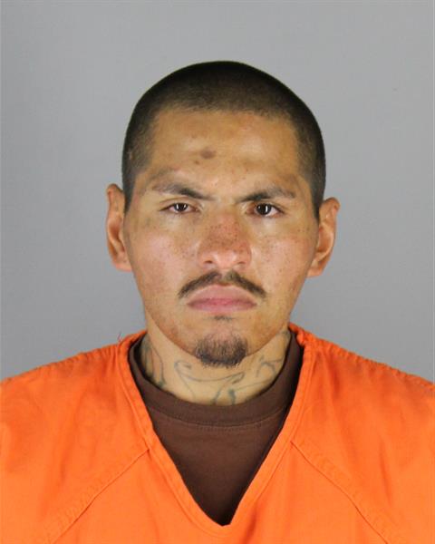 Giorgio Stillday booking photo