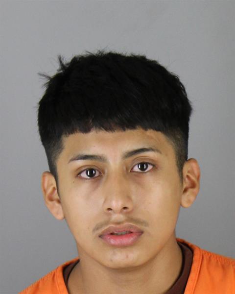Anderson Sangucho booking photo