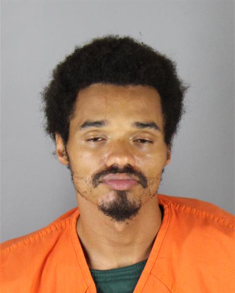 Skylar Thomas booking photo