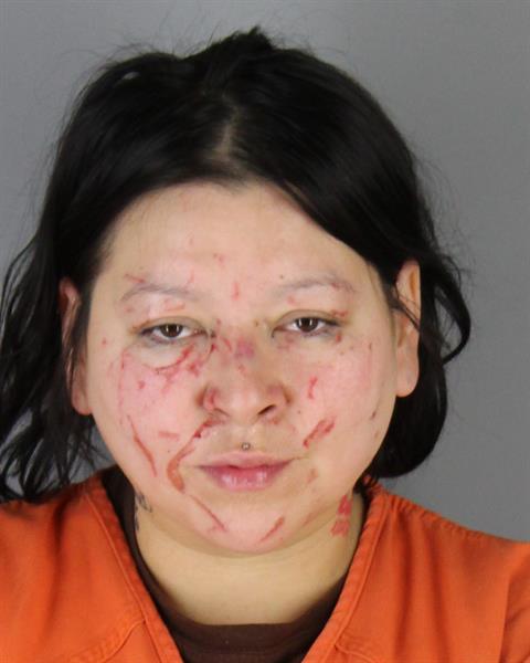 Booking photo of Tashina Larock