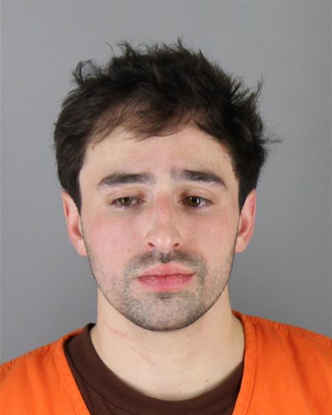 Jaryn Neises booking photo