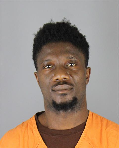 Gregory Nah booking photo
