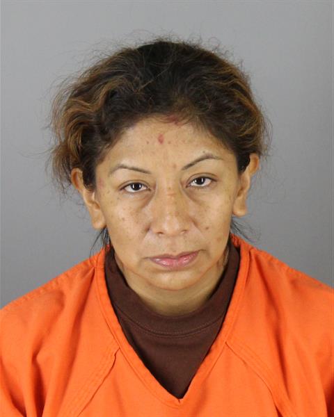 Monica Ortiz Cisneros booking photo
