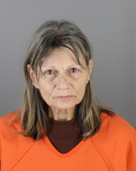 Valerie Anderson booking photo