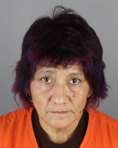 Joann Irizarry booking photo