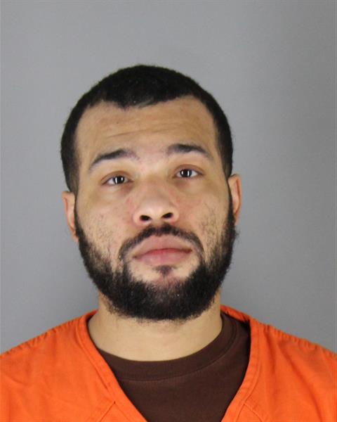 David Perkins booking photo