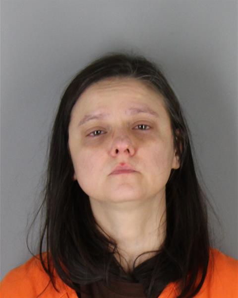 Booking photo of Olga Ozhered