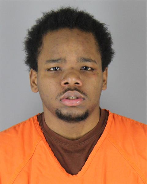 Booking photo of Michael Lee