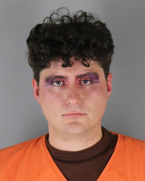 Booking photo of Khashayar Ramezani Bajgiran