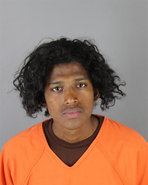 Booking photo of William Silva