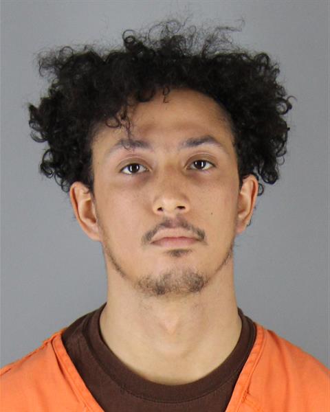 Booking photo of Dominic Pusateri
