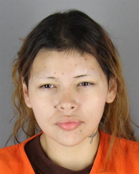 Booking photo of Tarilyn Mountain