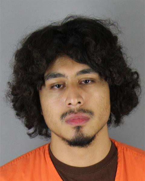 Booking photo of Ryan Arias Ornelas