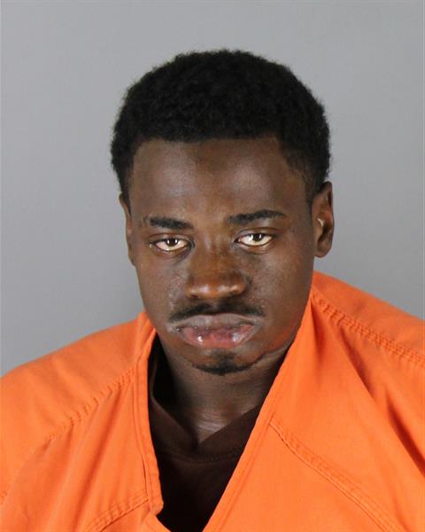 Booking photo of Pierre Mcnutt
