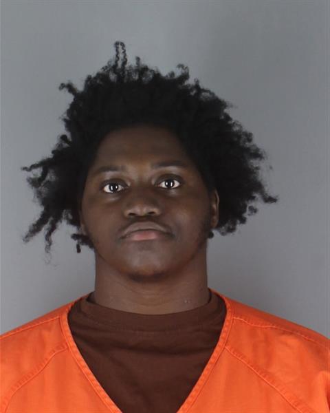 Booking photo of Lorenzo Brinson