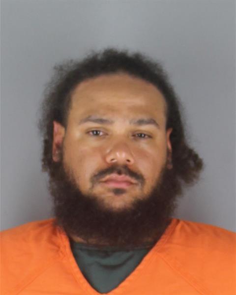 Booking photo of Dion Young