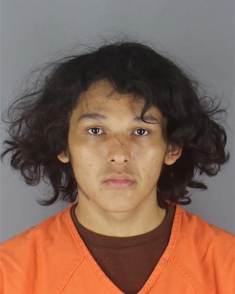 Booking photo of Larry Nerison
