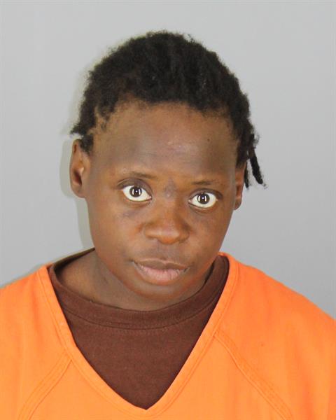 Booking photo of Temeka Nichols