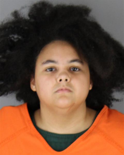 Booking photo of Ariana Evans-shaw