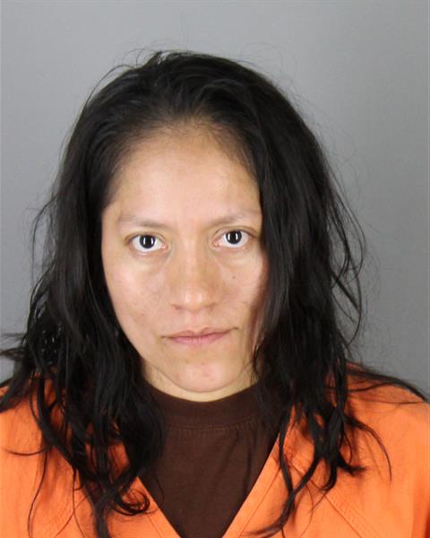 Booking photo of Susana Garcia Sosa