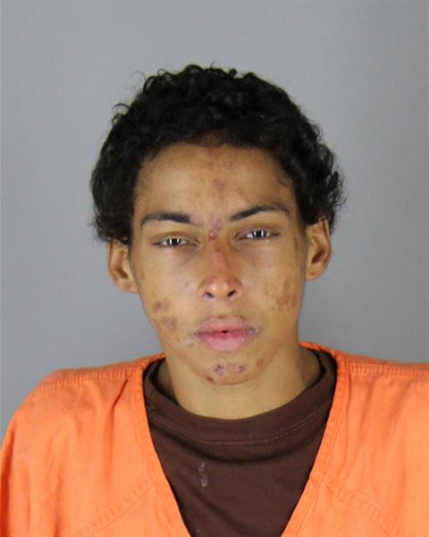 Booking photo of Soleil Martin