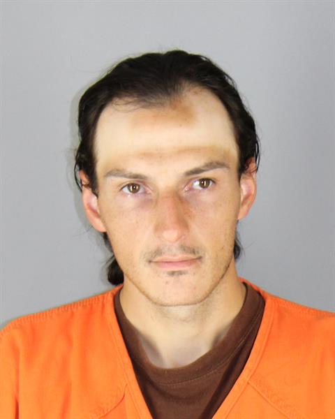 Booking photo of Andrew Magnusson