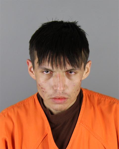 Booking photo of Dezmyn Sayers