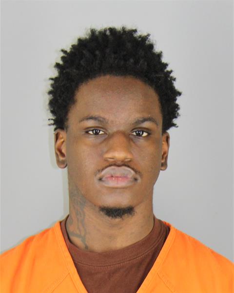 Booking photo of Laking Holden