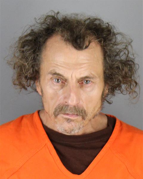 Booking photo of Frederick Ledin