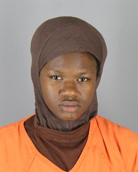 Booking photo of Angelica Vann