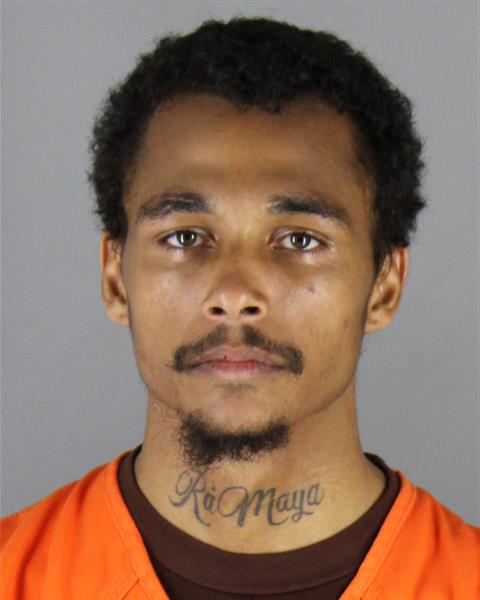 Booking photo of Robert Blomgren