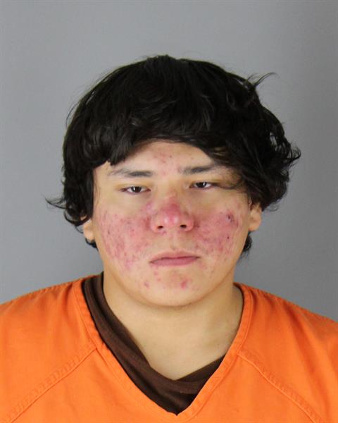 Booking photo of Shawn Brown