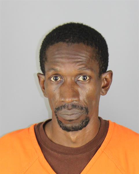 Booking photo of Dominique Pitts