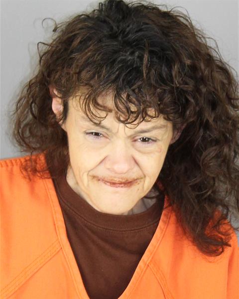 Booking photo of Candice Johnson