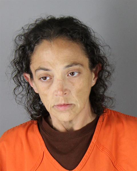 Booking photo of Tami Bohan