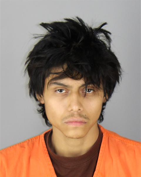 Booking photo of Angel Palma