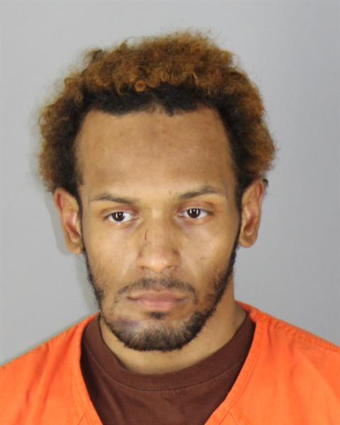 Booking photo of Caprice Johnson